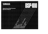 Yamaha DSP-100 取扱説明書