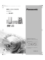 Panasonic SCDP1 取扱説明書
