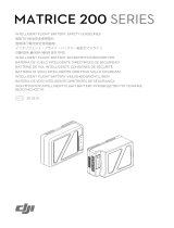 dji Pilot PE ユーザーガイド