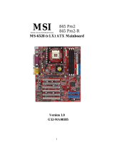MSI 845 PRO2-R ユーザーマニュアル