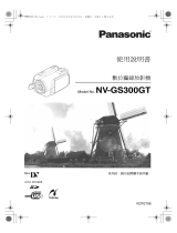 Panasonic NVGS300GT 取扱説明書