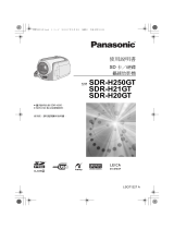 Panasonic SDRH250GT 取扱説明書