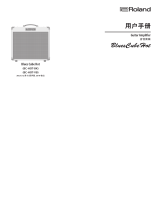 Roland Blues Cube Hot 取扱説明書