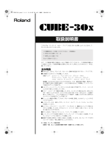 Roland CUBE-30X 取扱説明書