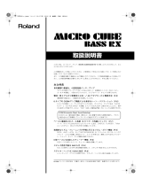 Roland MICRO CUBE BASS RX 取扱説明書