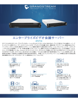 Grandstream IPVT10 データシート