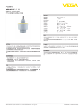 Vega VEGAPULS C 21 仕様