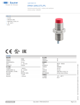 Baumer IFRM 18N13T1/PL データシート