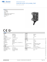 Baumer O200.GR-GD1E.72CV/H006_T007 データシート