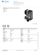 Baumer O500.RR-GD1Z.72O データシート