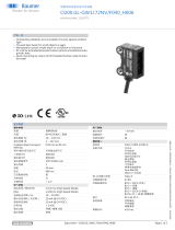 Baumer O200.GL-GW1J.72NV/F040_H006 データシート