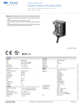 Baumer O200.GL-GW2I.72NV/A014_F040 データシート