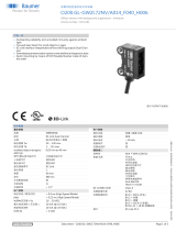 Baumer O200.GL-GW2I.72NV/A014_F040_H006 データシート