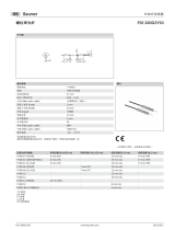 Baumer FSE 200D2Y50 データシート