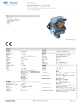 Baumer R600V.DAE0-11209335 データシート