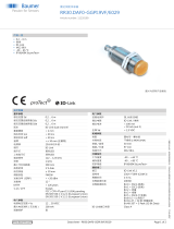 Baumer RR30.DAF0-GGPI.9VF/E029 データシート