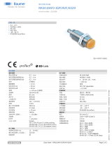 Baumer RR30.DAF0-IGPI.9VF/E029 データシート