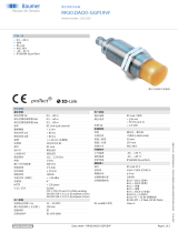 Baumer RR30.DAO0-GGPI.9VF データシート