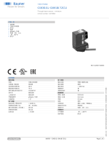 Baumer O300.EL-GW1B.72CU データシート