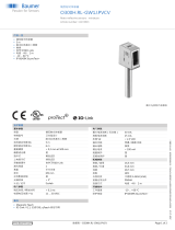 Baumer O300H.RL-GW1J.PVCV データシート