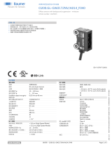 Baumer O200.GL-GW2I.72NV/A014_F040 データシート