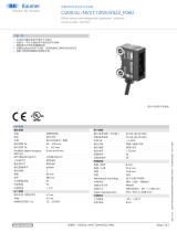 Baumer O200.GL-NV1T.72NV/E022_F060 データシート