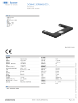 Baumer OGUM 120P8001/S35L データシート