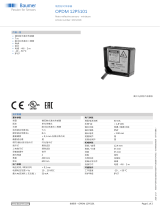 Baumer OPDM 12P5101 データシート