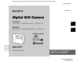 Sony DSC-FX77 ユーザーマニュアル