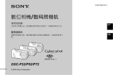 Sony DSC-P52 ユーザーマニュアル