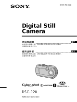 Sony DSC-P20 ユーザーマニュアル