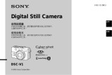 Sony DSC-V1 ユーザーマニュアル