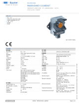 Baumer R600V.DAE0-11188367 データシート