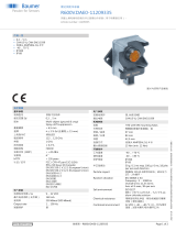 Baumer R600V.DAE0-11209335 データシート