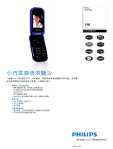 Philips CT0598GLD/40 Product Datasheet