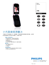 Philips CT0598GLD/40 Product Datasheet