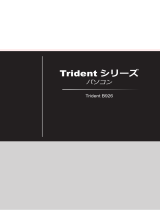 MSI MPG Trident AS 10th 取扱説明書