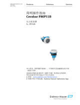 Endres+Hauser Cerabar PMP51B Short Instruction