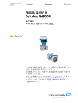 Endres+Hauser Deltabar PMD55B Short Instruction