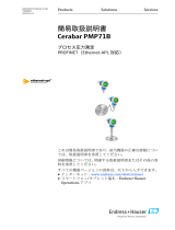 Endres+Hauser Cerabar PMP71B Short Instruction