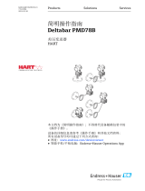 Endres+Hauser Deltabar PMD78B Short Instruction