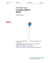 Endres+Hauser Levelflex FMP53 HART Short Instruction