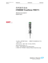 Endres+Hauser iTHERM TrustSens TM371 Short Instruction