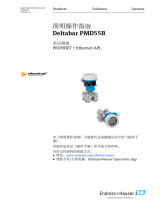 Endres+Hauser Deltabar PMD55B Short Instruction