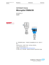 Endres+Hauser Micropilot FMR63B Short Instruction