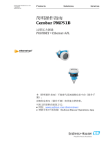 Endres+Hauser Cerabar PMP51B Short Instruction