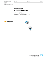 Endres+Hauser Cerabar PMP51B 取扱説明書