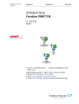 Endres+Hauser Cerabar PMC71B Short Instruction