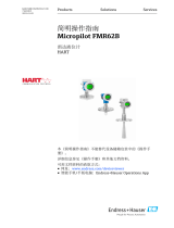 Endres+Hauser Micropilot FMR62B Short Instruction