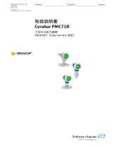 Endres+Hauser Cerabar PMC71B 取扱説明書